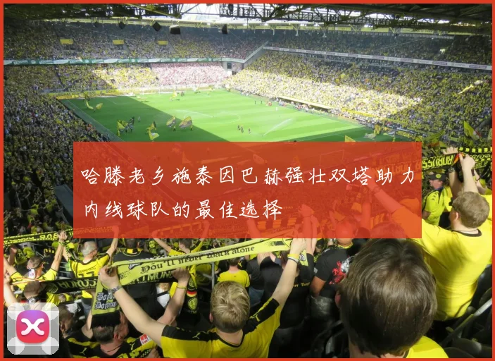 哈滕老乡施泰因巴赫强壮双塔助力内线球队的最佳选择